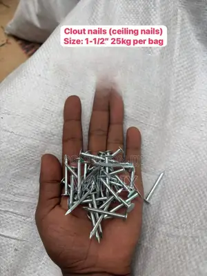 Ceiling Nails