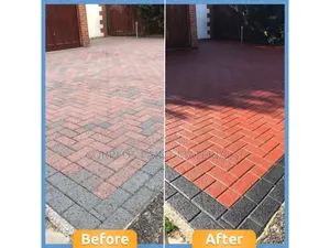 Paver Painting Services
