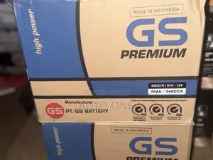 N70ah Gs Battery