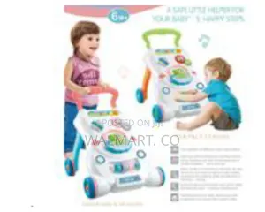 5 in 1 Children Stroll Along Music and Lights Walker