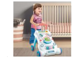 5 in 1 Children Stroll Along Music and Lights Walker