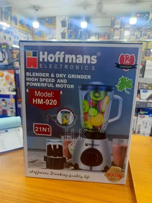 2-in-1 Electric Blender and Dry Grinder.
