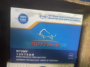 N75-70z Buffalo Battery