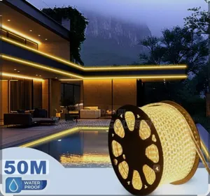 Smart Warm Strip Light 50meters