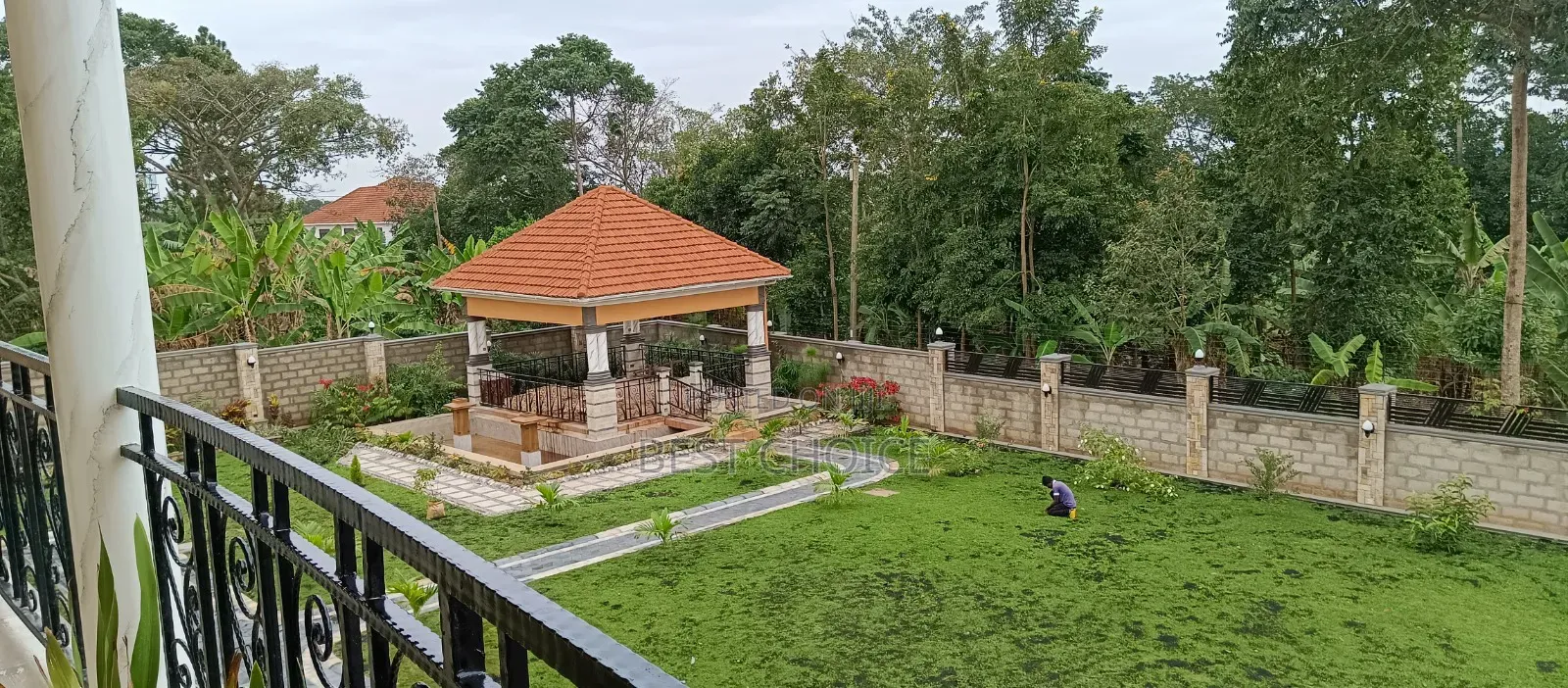 High Quality Grass, Transforming Your Yard With Lush Grass