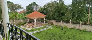 High Quality Grass, Transforming Your Yard With Lush Grass
