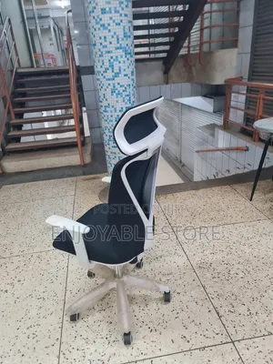 Ergonomic Office Chairs Office Chairs High Back