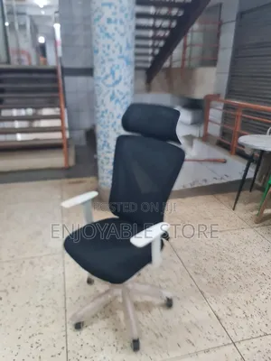 Ergonomic Office Chairs Office Chairs High Back