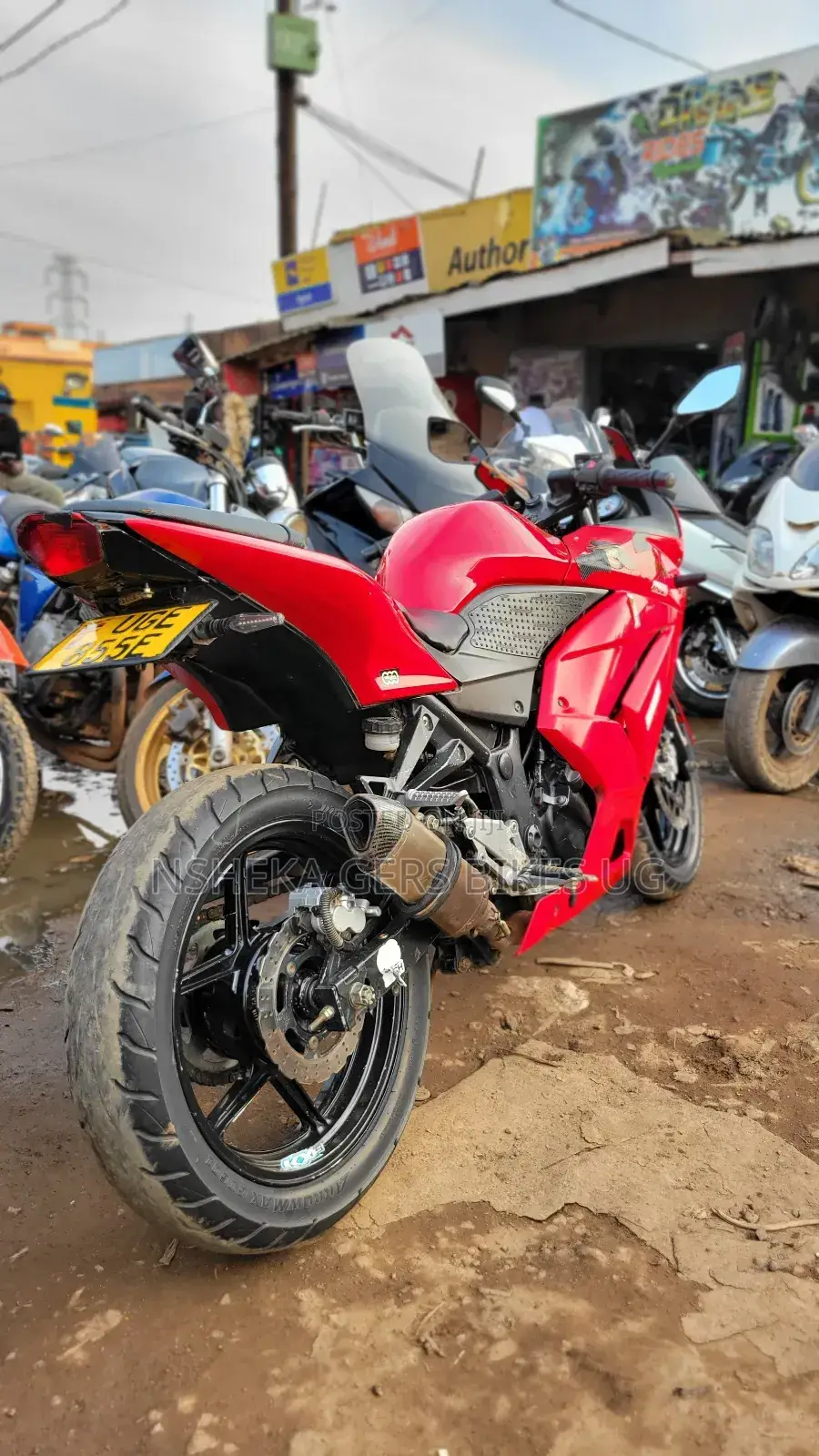 Kawasaki Ninja 300 2017 Red