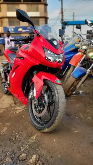 Kawasaki Ninja 300 2017 Red