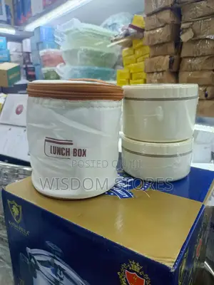 Insulated Food Container With Bag