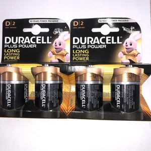 Duracell Size D Alkaline Batteries