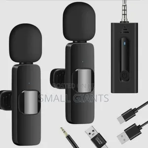 Wireless Microphone