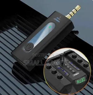 Wireless Microphone