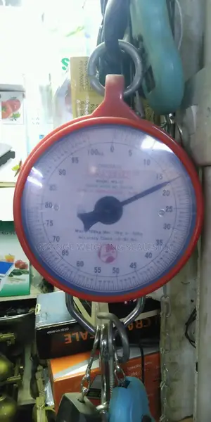 100kg Cheap Mechanical Weighing Scales [50]