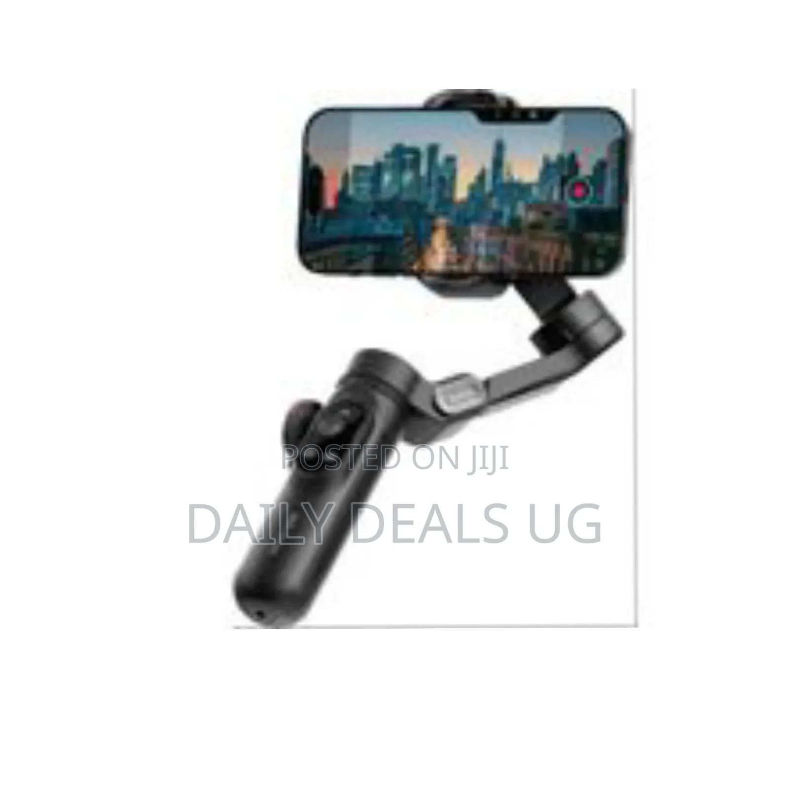 Green Lion New York Gimbal - Multicolor