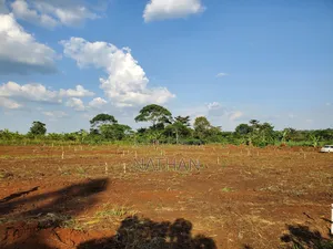 Owning Land Safely Is Only Done With Century Property Real Estate LTD