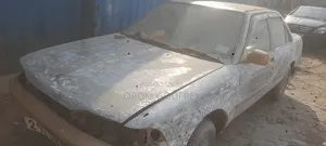 Body Spraying