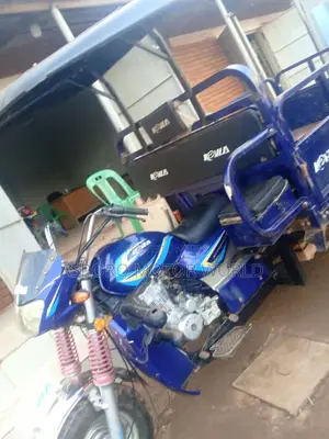 Tricycle 2024 Blue