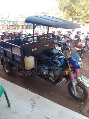 Tricycle 2024 Blue