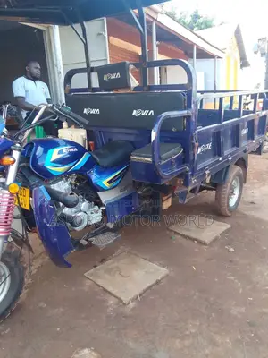 Tricycle 2024 Blue