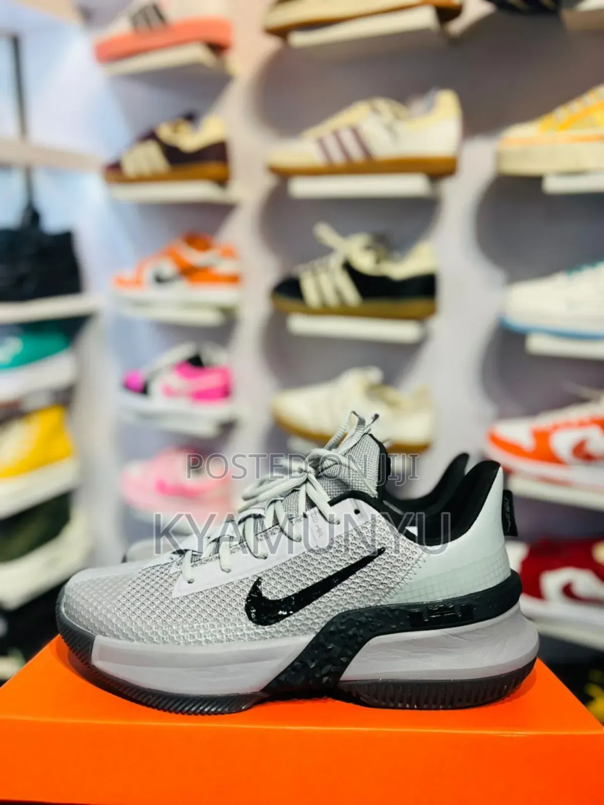 Nike Pegasus Plus Shoes.