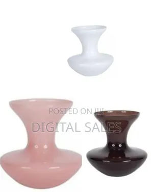 Elegant Decorative Glass Vase