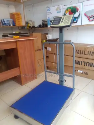 350kg Weigh Importer Weighing Scale Digital Platform Weighing Scale