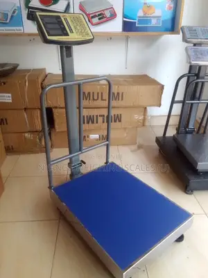 Industrial 350kg Weighing Digital Weighing Scale Platform Weigh Scales