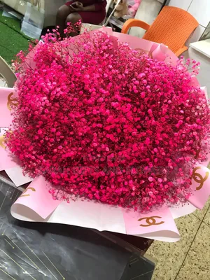 Pink Flowers