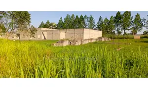 6 Acres of Land in Dokolo With Incomplete Warehouse