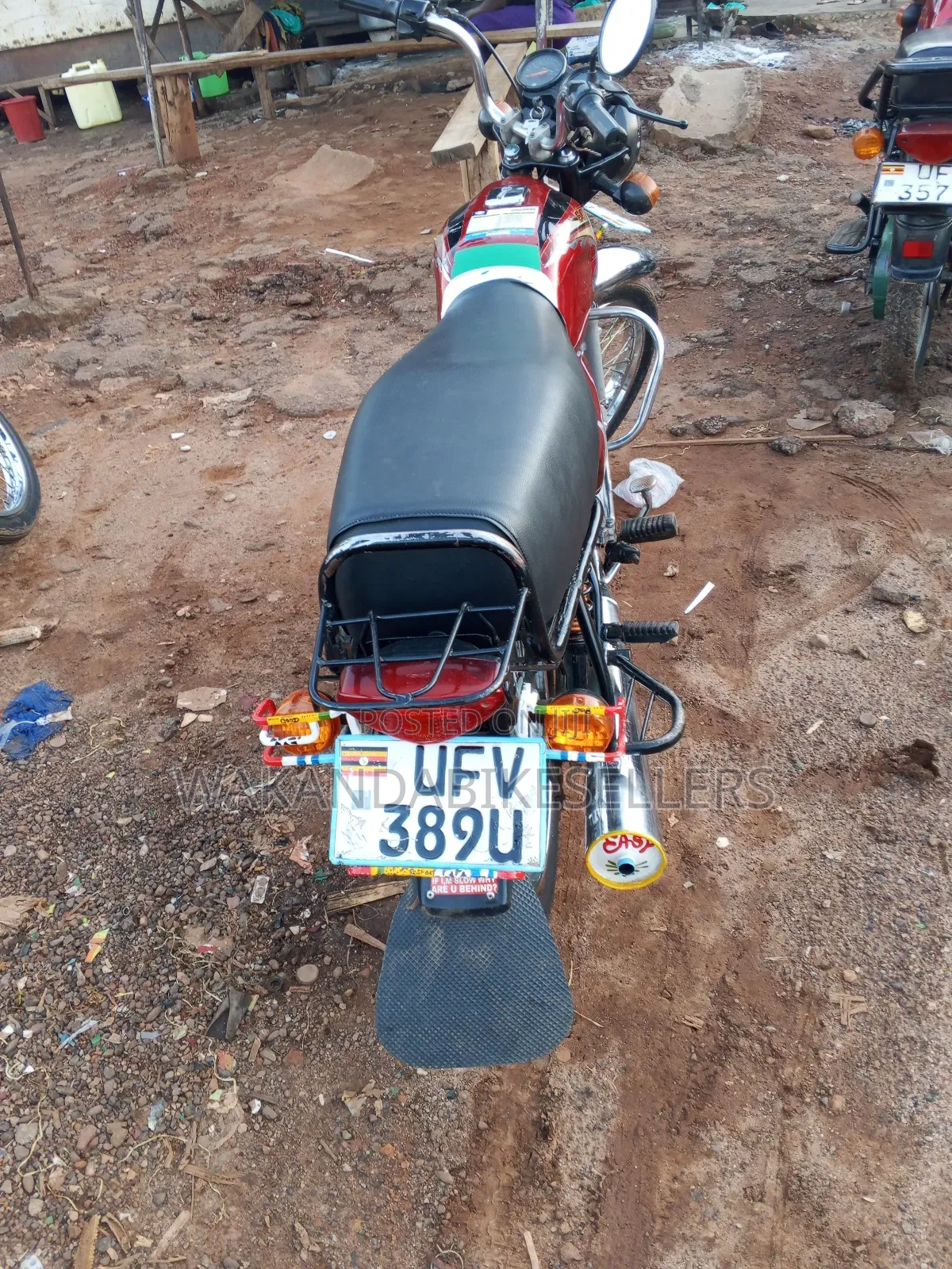 Bajaj Boxer 2023 Red