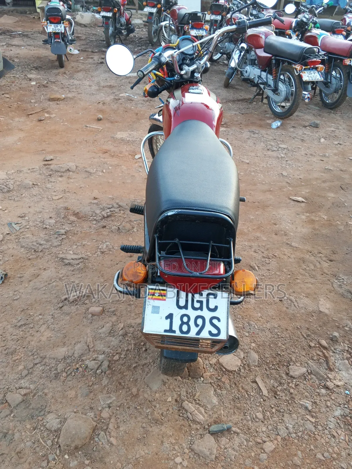 Bajaj Boxer 2024 Red