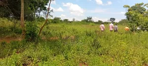 5 Acres of Land at 5.5m Per Acre– Makanga, Buyende District