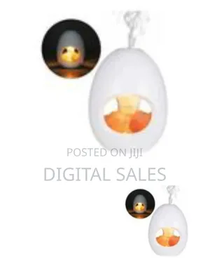Egg-Shaped Humidifier Aroma Diffuser With Himalayan Salt Lamp