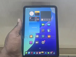 Apple iPad mini 5 256 GB Gray