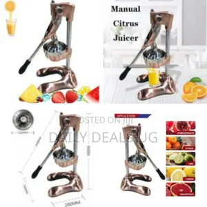 Commercial Fruit Juicer - Multicolor