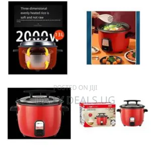 Professional Rice Cooker