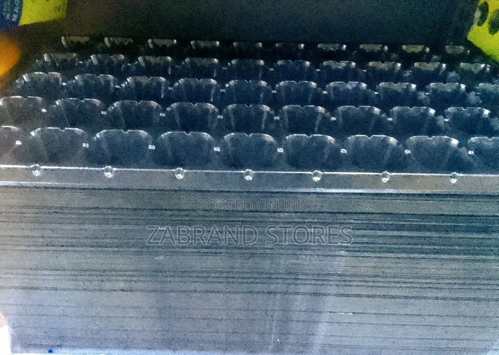 Seeding Tray