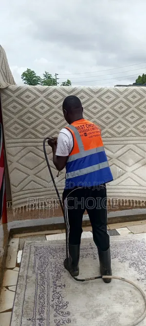 Expert Carpet Cleaning Services for Clean Carpets and Bright Days