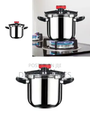 Stainless Steel Knob Type Pressure Cooker
