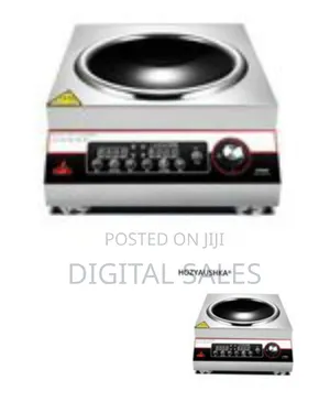 High-Power Commercial Induction Wok Cooker