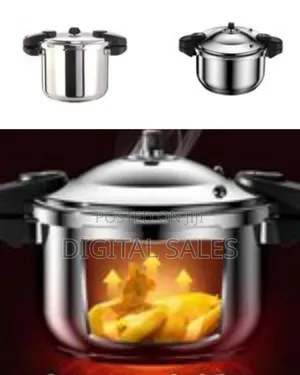 Modern Stainless Steel Pressure Cooker