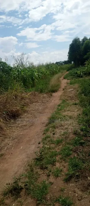 20 Acres of Land in Kamira Kikyuusa