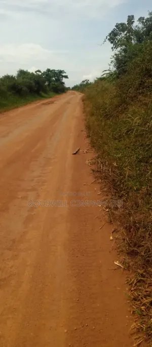 15 Acres of Land for Sale in Luwero Kabunyata