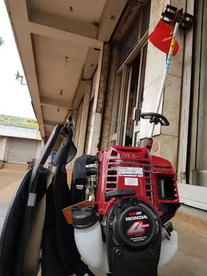 Gasoline Weeder