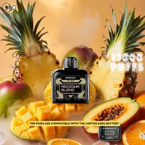 Vapengin 13000 Arizona Blended Juice Pod and Kit Vape