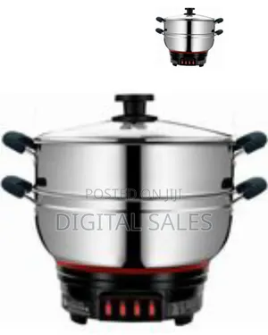 Multi-Tier Stainless Electric Food Steamer and Cooker - Multicolor