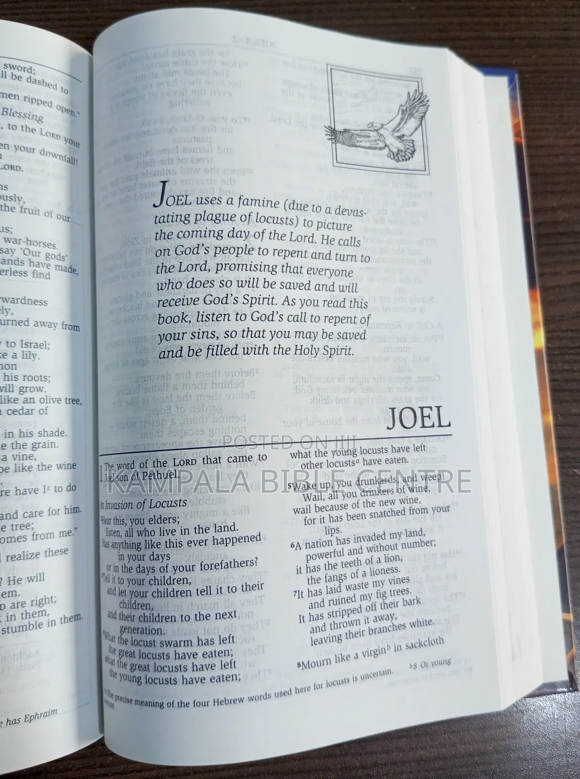 Men's Devotional Bible(Niv), Hardcover.
