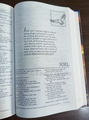 Men's Devotional Bible(Niv), Hardcover.